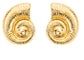 Boucle d’oreille conque